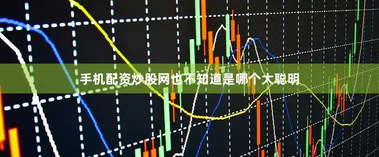 手机配资炒股网也不知道是哪个大聪明