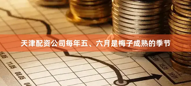 天津配资公司每年五、六月是梅子成熟的季节