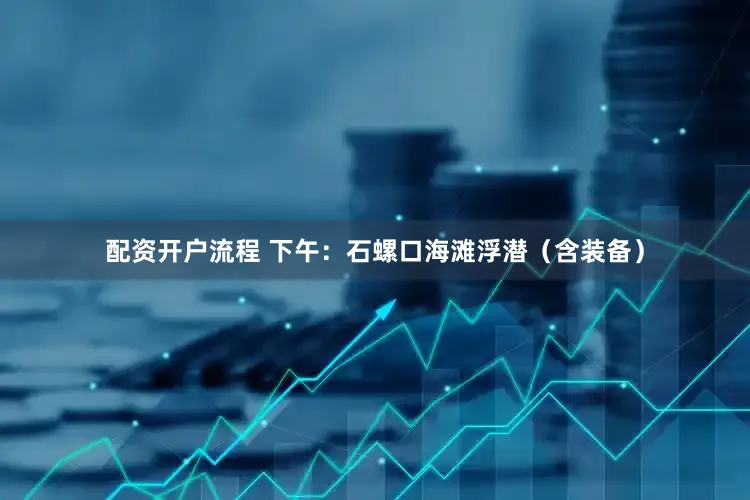 配资开户流程 下午：石螺口海滩浮潜（含装备）