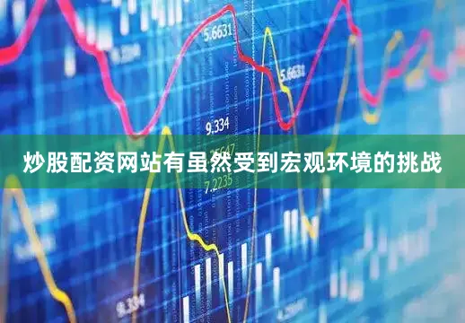 炒股配资网站有虽然受到宏观环境的挑战